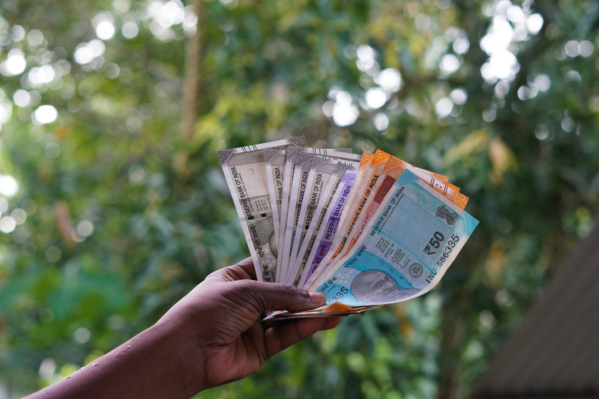 A person holding a bunch of money in their hand